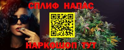 шишки Лесосибирск