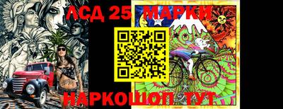 шишки Лесосибирск