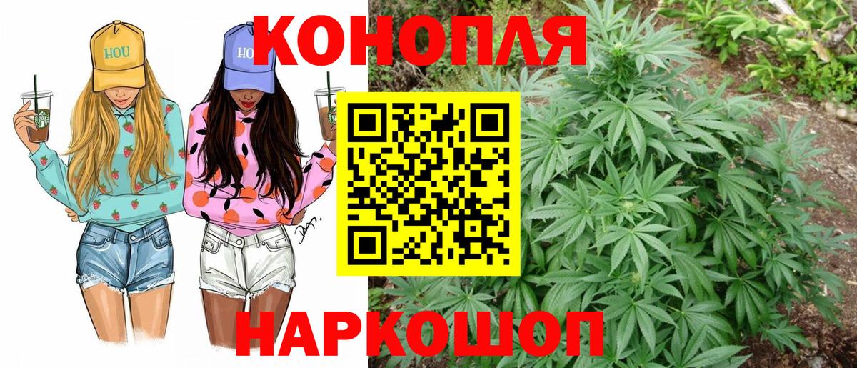 Конопля план  Вход с VPN  Конопля тримм  Воронеж 